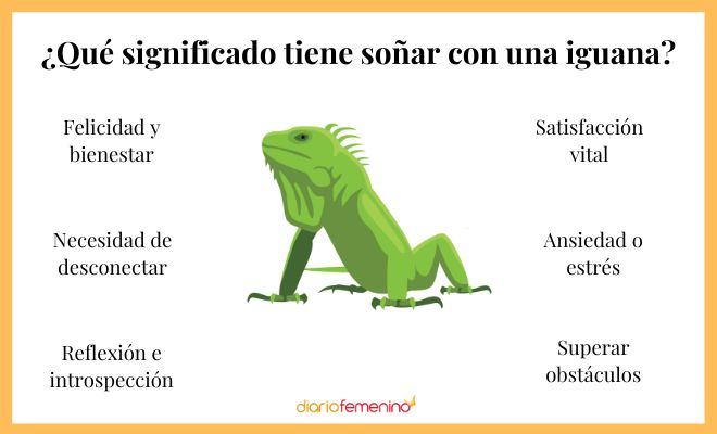 Diferentes significados de las iguanas en sueños