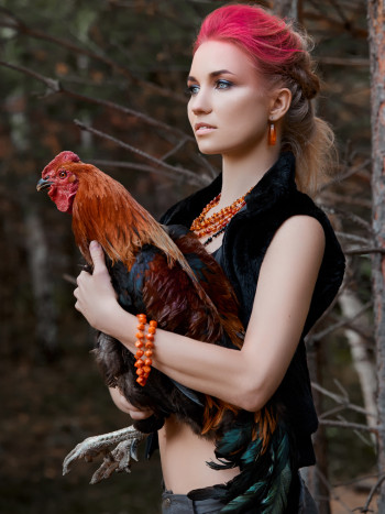 Horóscopo chino 2020: lo que vivirá el Gallo en el Año de la Rata