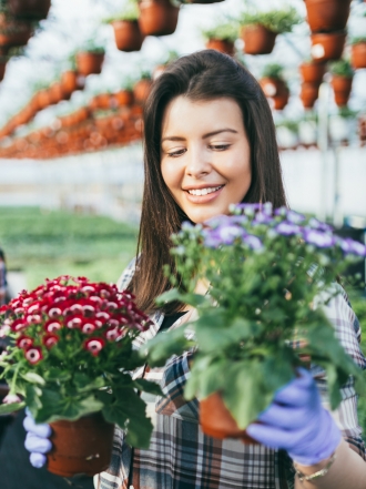 Hiedra de hojas pequeñas: ideal para maceta interior
