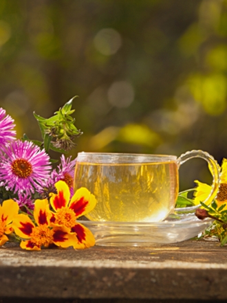 Plantas medicinales diuréticas para adelgazar