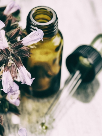 Fitoterapia: la medicina de las plantas medicinales