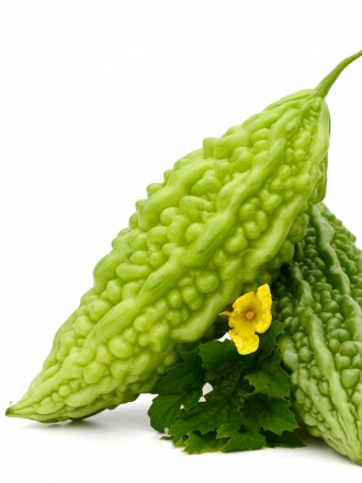 El melón amargo previene el cáncer de mama