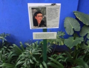 Historia de amor de Frida Kahlo y Diego Rivera: un amor tormentoso