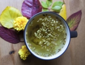 Infusiones para el dolor de estómago