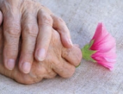 Historia de amor para el recuerdo: cuando no queda nada más que el amor