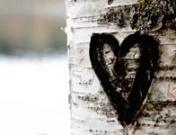 Mi historia de amor: una imperfecta historia de amor real