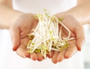 Isoflavonas de la soja para la menopausia: ¿mito o realidad?