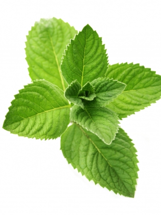 Hierbabuena, un remedio milagroso para el dolor de estómago