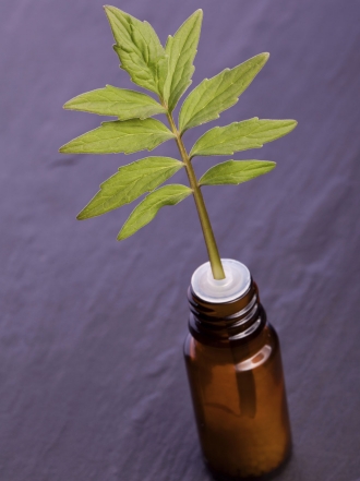 Valeriana para el insomnio: el sustituto de las pastillas para dormir