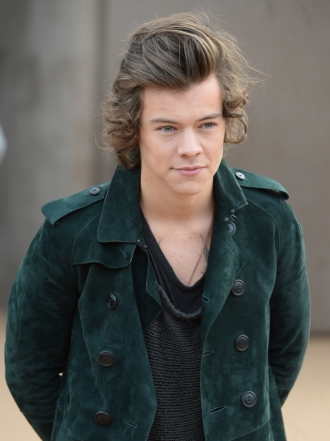 Sudamérica se prepara para recibir el WWAT de One Direction