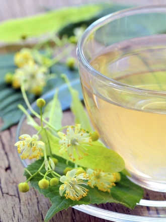 Plantas medicinales: remedios naturales para el dolor de garganta