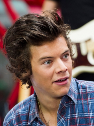 Dos meses de cola para el concierto de One Direction en Madrid