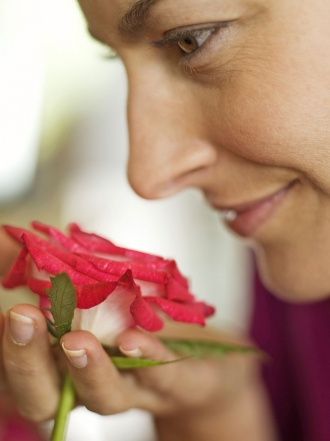 Los beneficios del aceite de rosa mosqueta para la piel