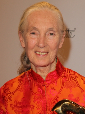 Jane Goodall, la mejor amiga de los chimpancés y del medio ambiente
