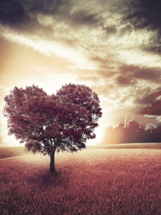 Historia de amor mitológica: el amor inmortal