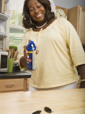 Remedios caseros para acabar con las cucarachas