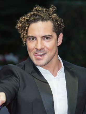 David Bisbal desata la locura con su concierto en Almería