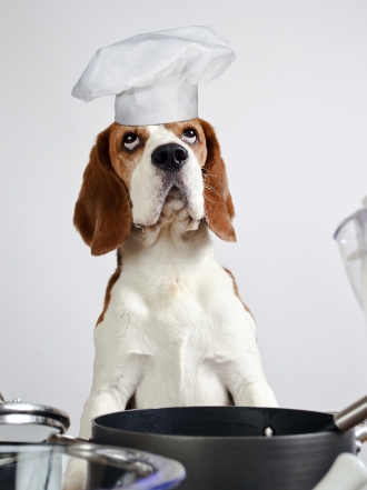 Nombres para perros machos y hembras con la J