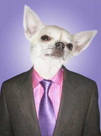 Nombres para cachorritos por la letra S