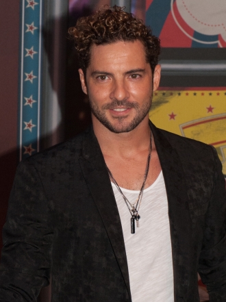 David Bisbal responde con indiferencia a quien le define como 'mugre españolista asquerosa'