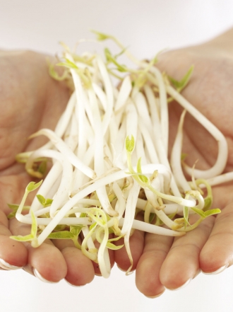 La dieta de la soja:¿es realmente eficaz para adelgazar?