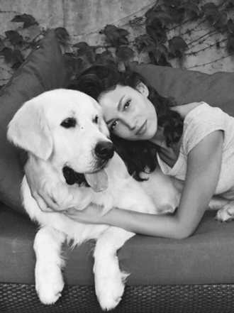 Nombres chinos para perros de todas las razas