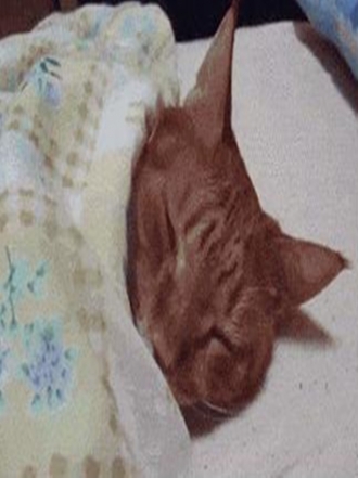 10 consecuencias de vivir con sueño: lo que hace el insomnio