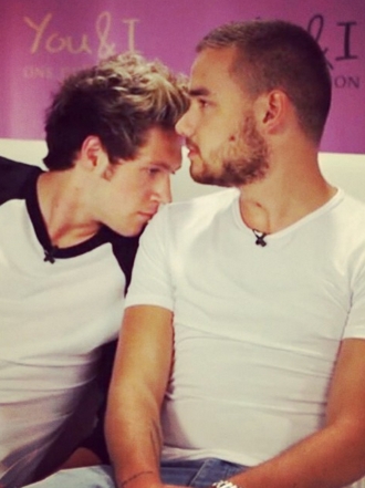 Niall Horan y Liam Payne, de One Direction, meten la pata hasta el fondo
