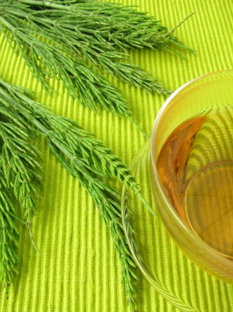 Remedios caseros para la incontinencia urinaria