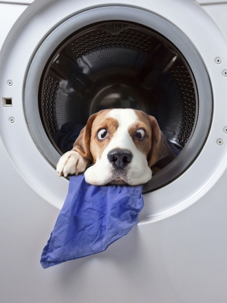 Mensajes divertidos para superar el desamor