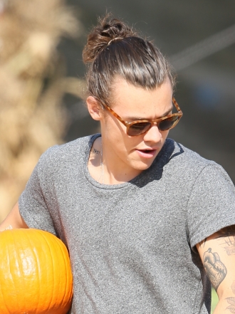 Harry Styles, de One Direction, comienza la pelea contra sus miedos