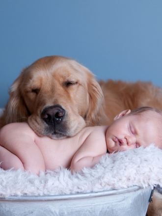 7 imágenes que te harán enternecer: perros, gatos y bebés, la combinación perfecta