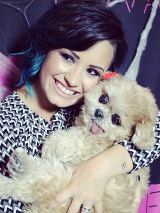 La enigmática boda de Demi Lovato y su novio, Wilmer Valderrama