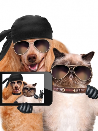 Las selfies más divertidas de perros y gatos