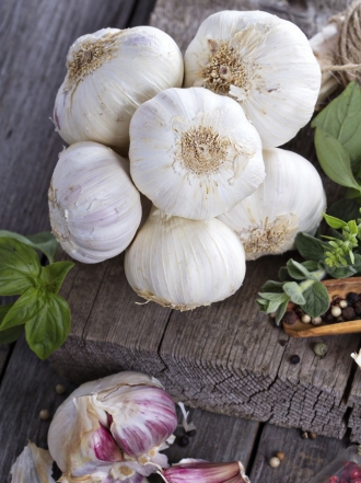 Remedios caseros como alternativas a los antibióticos