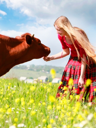 Horóscopo chino y compatibilidad de signos: la mujer Buey en el amor