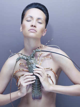 Soñar con langostas: ¿plagas o placer en tus sueños?