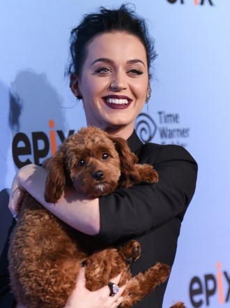 Katy Perry, una gira con documental