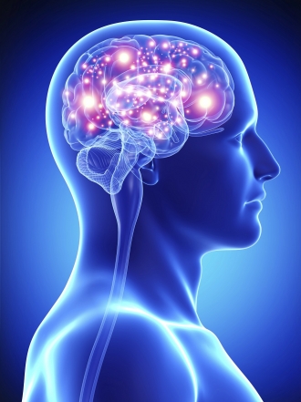 Qué alimentos comer para cuidar el sistema nervioso