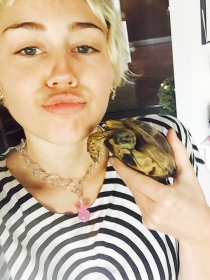 El Papa Francisco, ¿nuevo fan de Miley Cyrus?