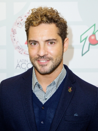 David Bisbal calienta Instagram