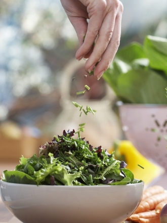 Lechugas y dietas detox