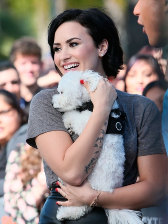Perros de famosos: Demi Lovato, pasión por su bichón maltés