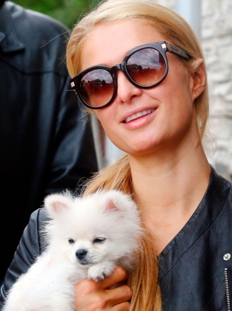 Perros de famosos: Paris Hilton también adora a sus pomerania