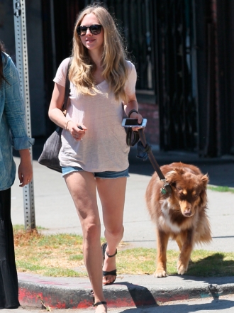 Perros de famosos: Amanda Seyfried, loca por su pastor australiano