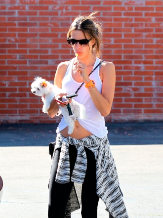 Perros de famosos: Alessandra Ambrosio y su bichón maltés
