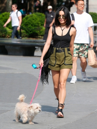 Perros de famosos: Vanessa Hudgens y su caniche