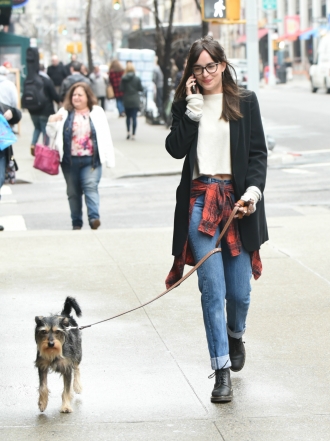 Perros de famosos: el Jack Russell Terrier-Schnauzer de Dakota Johnson