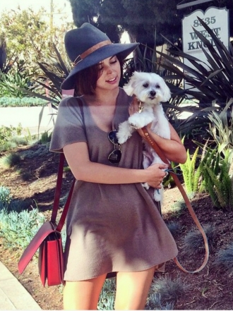 Perros de famosos: Elvis, el Bichón Maltés de Ana de Armas