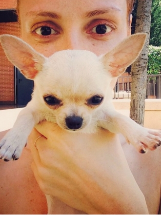Perros de famosos: Sally, la nueva Chihuahua de Cristina Castaño